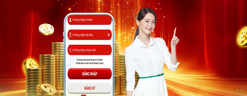 Login Interface